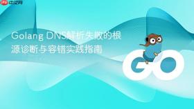 Golang DNS解析失败的根源诊断与容错实践指南