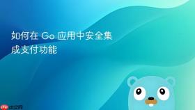 如何在 Go 应用中安全集成支付功能
