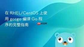 在 RHEL/CentOS 上使用 gccgo 编译 Go 程序的完整指南