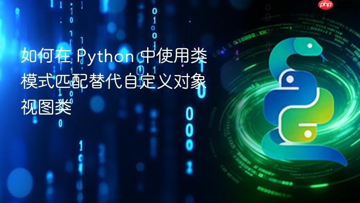 如何在 Python 中使用类模式匹配替代自定义对象视图类