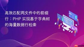 高效匹配两文件中的前缀行：PHP 实现基于字典树的海量数据行检索
