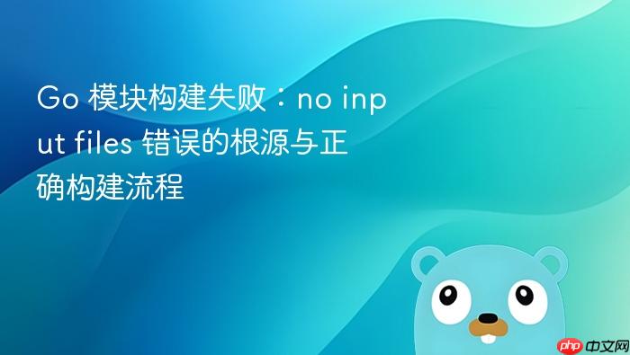 Go 模块构建失败：no input files 错误的根源与正确构建流程
