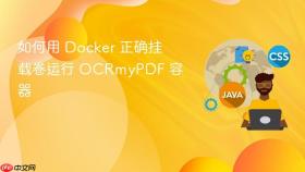 如何用 Docker 正确挂载卷运行 OCRmyPDF 容器