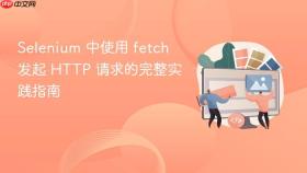 Selenium 中使用 fetch 发起 HTTP 请求的完整实践指南