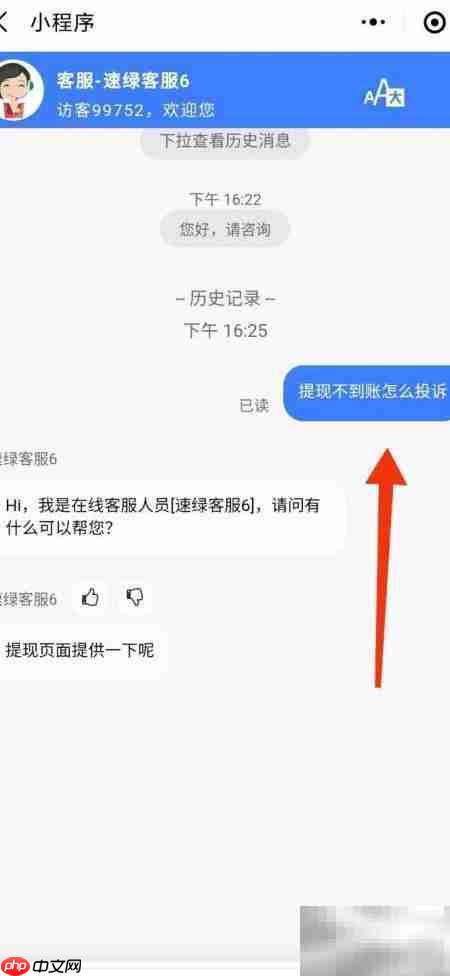 速绿充电宝提现未到账投诉指南