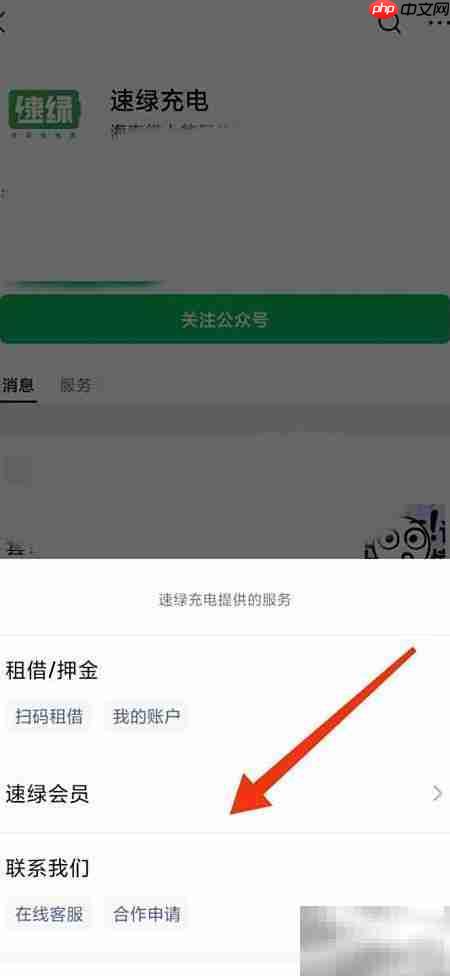 速绿充电宝提现未到账投诉指南