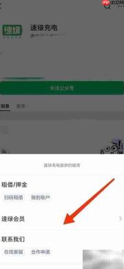 速绿充电宝提现未到账投诉指南