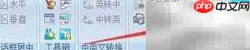 TC工具如何调整编辑器字体大小