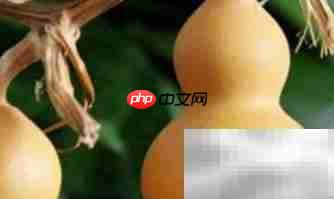 葫芦保存方法:简单几步延长存放时间