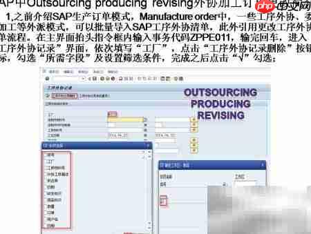 SAP外协加工单修改指南
