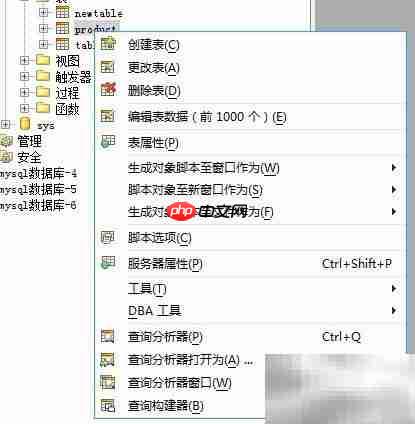 Aqua Data Studio导出表数据
