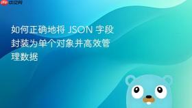 如何正确地将 JSON 字段封装为单个对象并高效管理数据