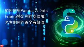 如何使用Pandas为DataFrame特定列的空值填充左侧列的首个有效值
