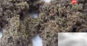 辨别好艾条：陈艾与新艾区别