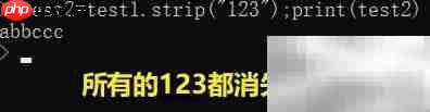 strip方法作用解析
