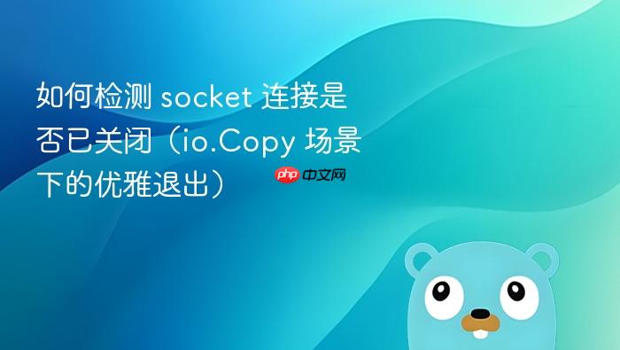 如何检测 socket 连接是否已关闭(io.Copy 场景下的优雅退出)