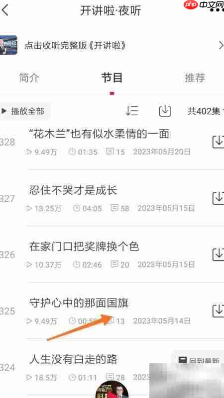 云听守护心中的国旗