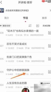 云听守护心中的国旗