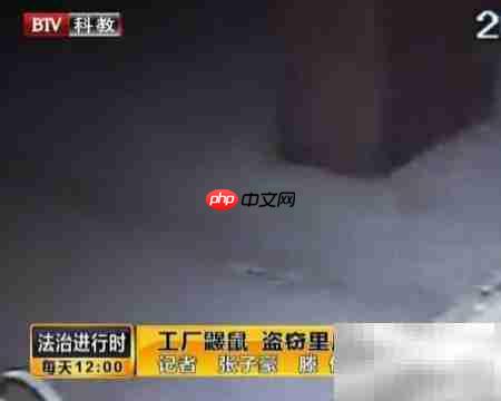 公司值班安全管理方案