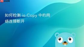 如何检测 io.Copy 中的网络连接断开