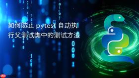 如何防止 pytest 自动执行父测试类中的测试方法