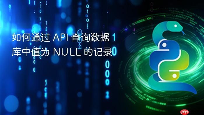 如何通过 API 查询数据库中值为 NULL 的记录
