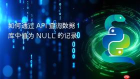 如何通过 API 查询数据库中值为 NULL 的记录
