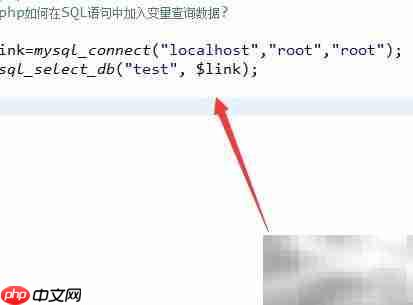 PHP中SQL语句插入变量查询