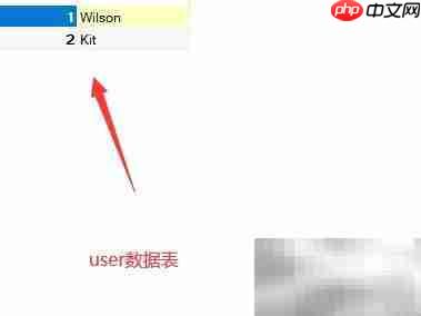 PHP中SQL语句插入变量查询