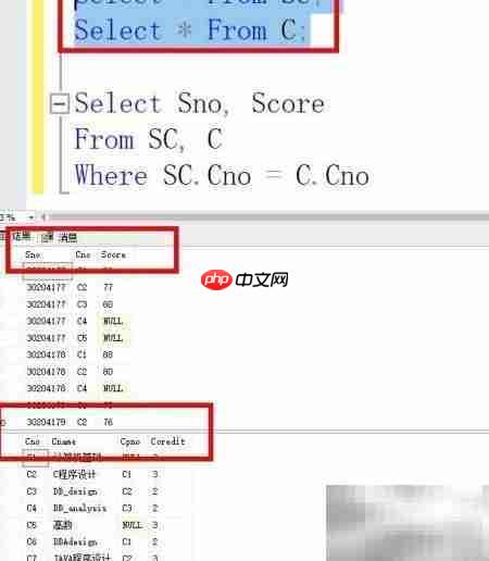 查询C程序设计课程成绩