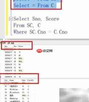 查询C程序设计课程成绩