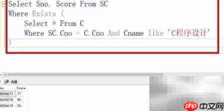 查询C程序设计课程成绩