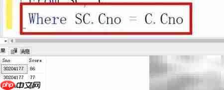 查询C程序设计课程成绩