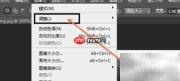 PS调整黑白图灰度技巧