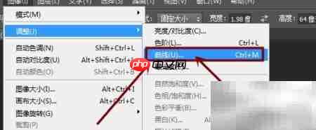 PS调整黑白图灰度技巧