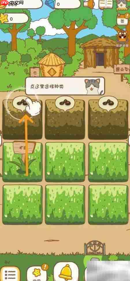 口袋菜地种西红柿技巧
