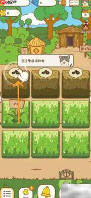 口袋菜地种西红柿技巧