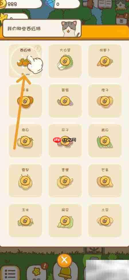 口袋菜地种西红柿技巧