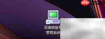 百惠销售单数据库整理指南