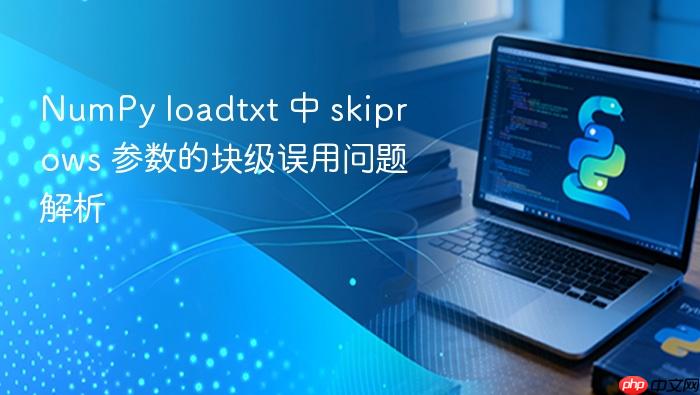 NumPy loadtxt 中 skiprows 参数的块级误用问题解析