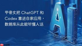 甲骨文把 chatgpt 和 codex 塞进自家应用，数据库从此能听懂人话