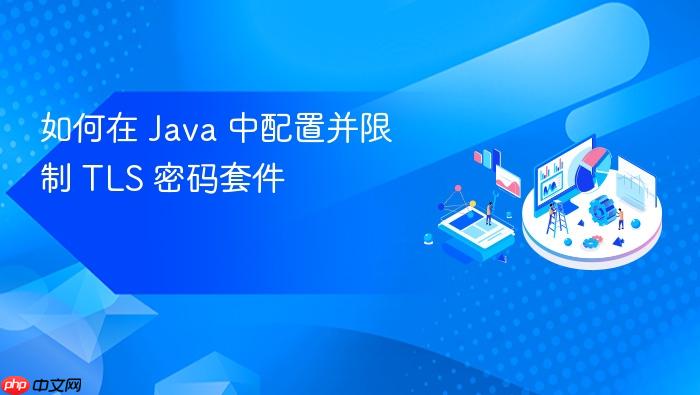 如何在 Java 中配置并限制 TLS 密码套件