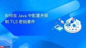 如何在 Java 中配置并限制 TLS 密码套件
