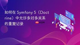 如何在 Symfony 5(Doctrine)中允许多对多关系的重复记录