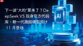 下一波“大的”要来了?deepseek v5 现身官方代码库,新一代旗舰模型预计 11 月登场