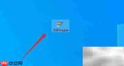 SAP FI中Bill条目定义方法