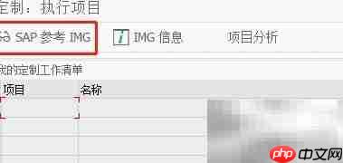 SAP FI中Bill条目定义方法