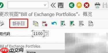 SAP FI中Bill条目定义方法