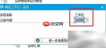 SAP FI中Bill条目定义方法