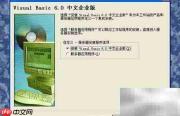 VB6安装与使用指南